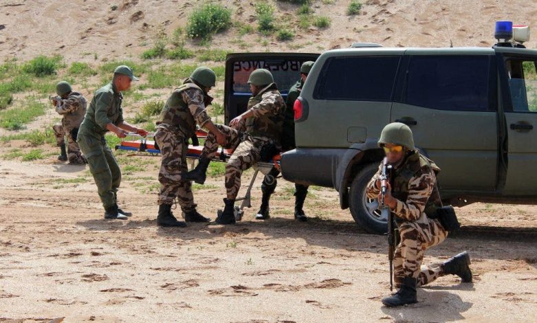 الدفاع الحربي يقود الجيش الإيطالي للتنسيق مع قادة القوات الملكية المسلحة