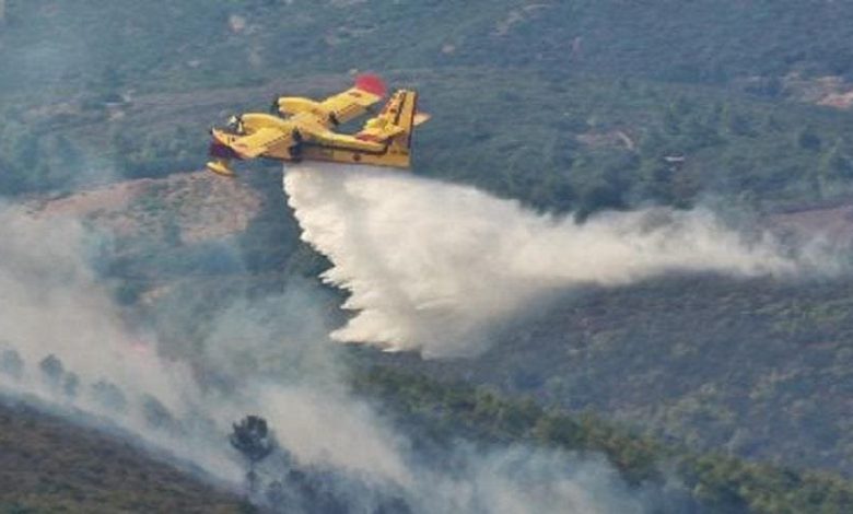 تازة ..حريق بغاية بورد بدائرة أكنول يأتي على حوالي 30 هكتار تازة ..حريق بغاية بورد بدائرة أكنول يأتي على حوالي 30 هكتار