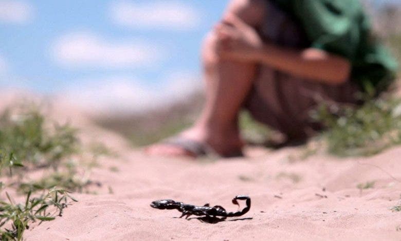 سمُّ العقارب بعاصمة بني مسكين يواصل حصاد الأبرياء.. فما رأي الوزارة الوصية؟