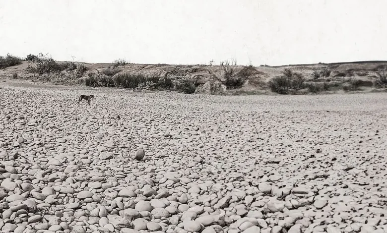 نهر أم الربيع.. حكاية ثاني أكبر نهر بالمغرب بين الأمس واليوم نهر أم الربيع.. حكاية ثاني أكبر نهر بالمغرب بين الأمس واليوم