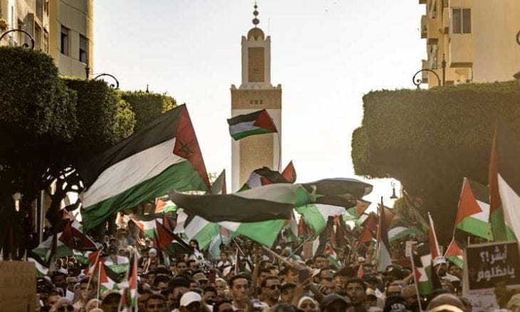 وقفات تضامنية في عدة مدن مغربية لدعم “الصمود الفلسطيني” وقفات تضامنية في عدة مدن مغربية لدعم “الصمود الفلسطيني”
