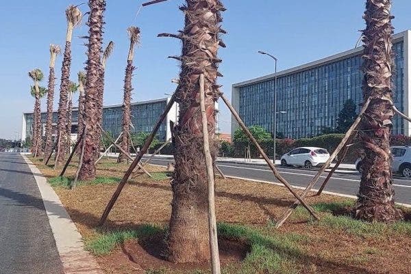 ” تنخيل المدن” يدفع حركة الى تنظيم وقفة احتجاجية أمام البرلمان