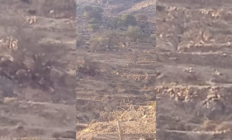 تيزنيت ..ساكنة “إداوسملال” تستنكر استغلال محاصيلها من “الرحالة “ تيزنيت ..ساكنة “إداوسملال” تستنكر استغلال محاصيلها من “الرحالة “