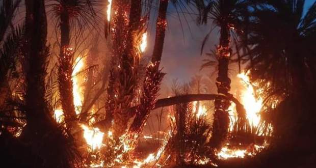 مطالب برلمانية باجراءات عاجلة لإنقاذ الواحات من الحرائق والجفاف