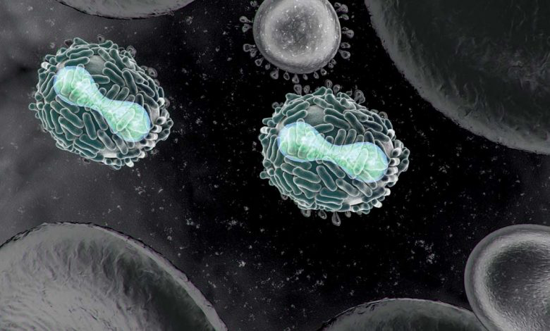 منظمة الصحة العالمية تدرس إمكانية إعلان حالة الطوارئ من انتشار فيروس ” جدري القردة “